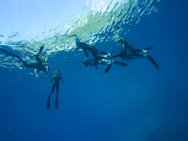 Sailing & freediving holiday in Croatia