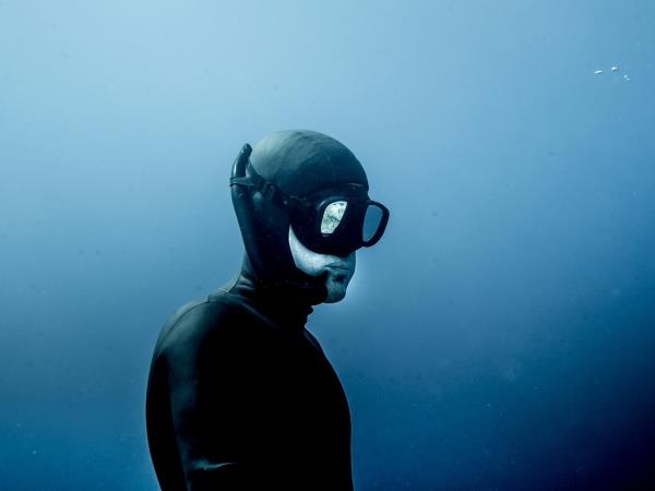 Sailing & freediving holiday in Croatia
