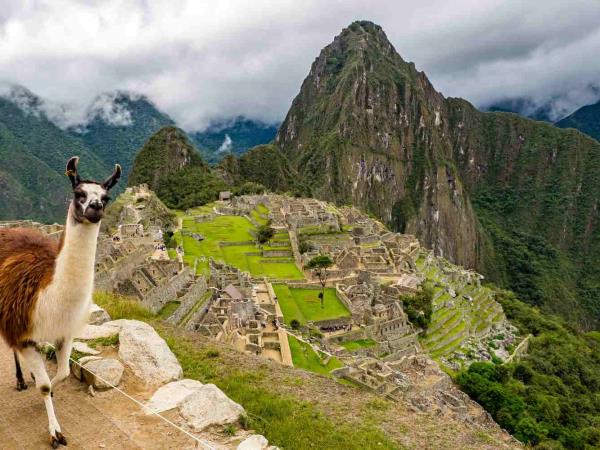 Machu Picchu and Galapagos holiday