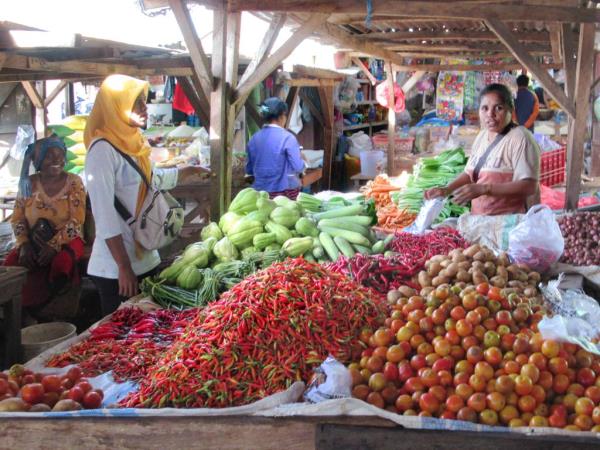 Forgotten islands of Indonesia cruise