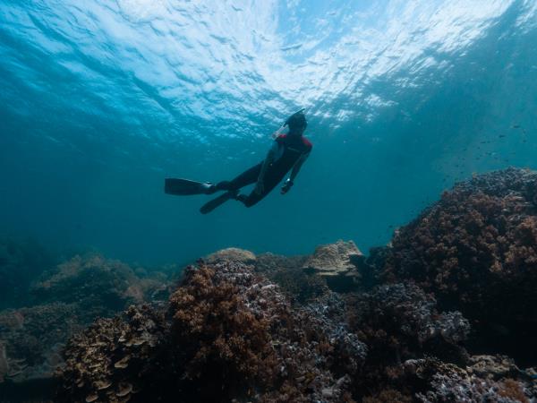 Koh Surin & Ban Talae 6 day tour, Thailand 