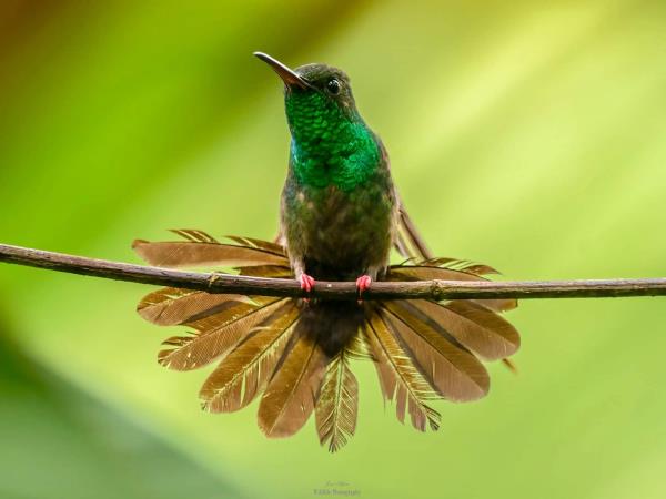 Costa Rica holiday, coast to coast