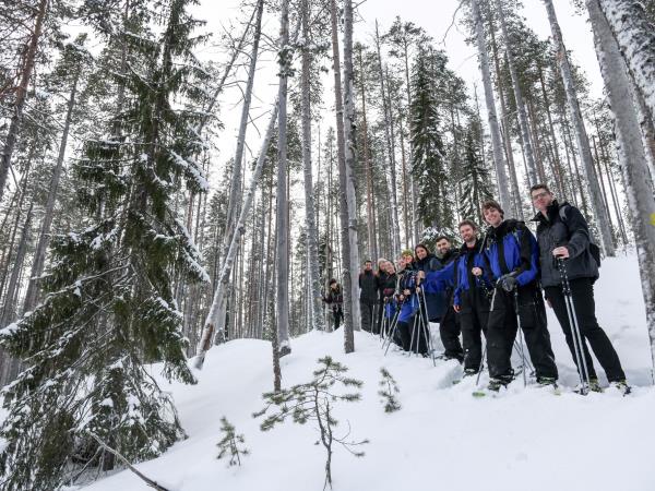 Finland activity holiday and Northern Lights