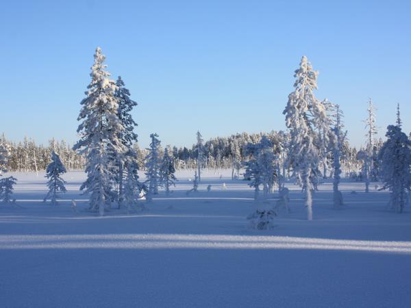 Cross-country skiing holiday in Finland's eastern wilderness