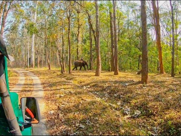 Northern Kerala holiday, tailor made