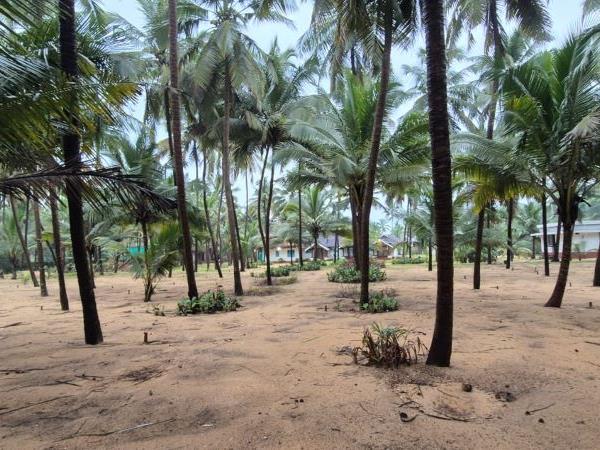 Northern Kerala holiday, tailor made
