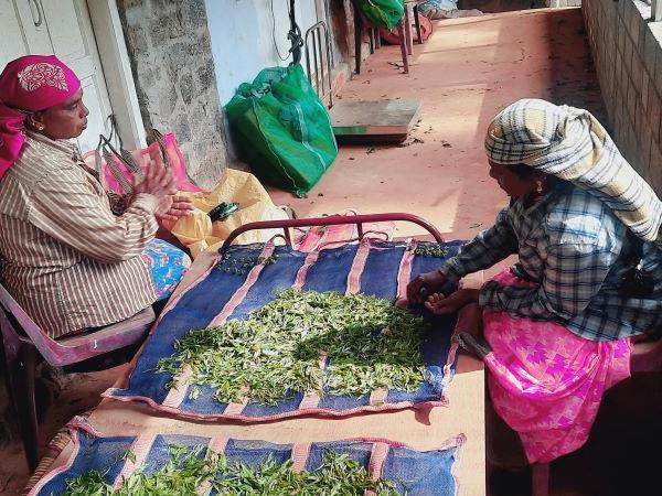 Northern Kerala holiday, tailor made