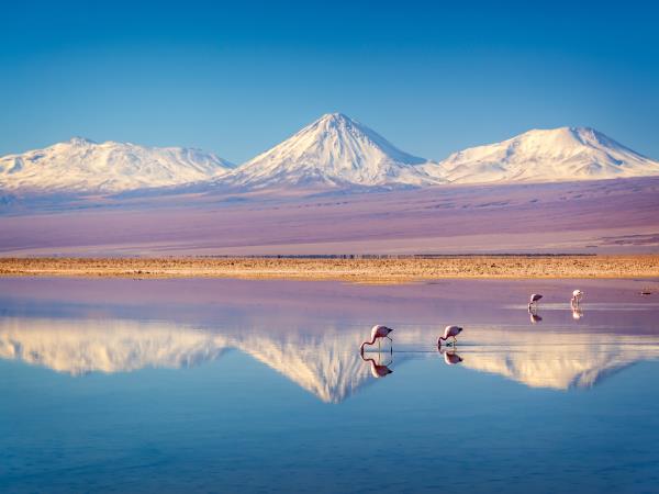 Chile 2 week holiday