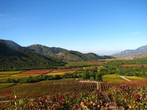 Luxury Chile holiday, 14 days