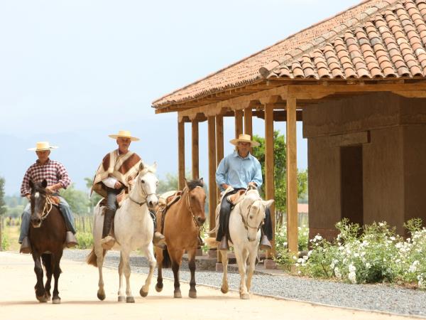 Chile multi activity holiday