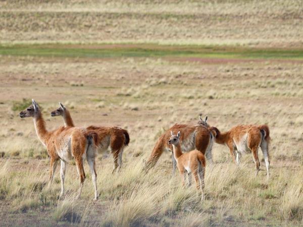 Chilean Patagonia holiday, tailor made