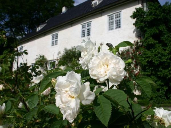 Norway self guided cycling holiday, Hardangerfjord