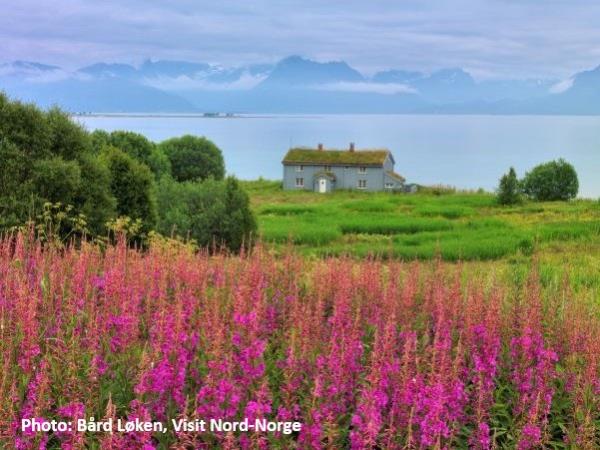 Cycling holiday in Norway, The islands north of Lofoten
