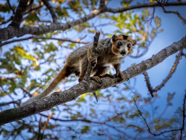 Madagascar North Coast adventure holiday