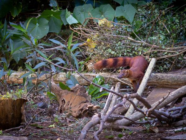 Madagascar north coast nature holiday