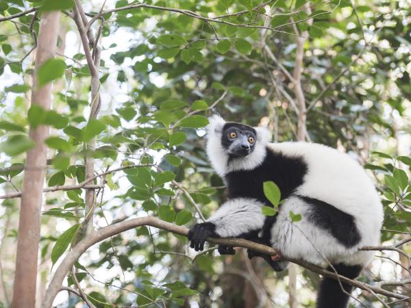 Madagascar north coast nature holiday
