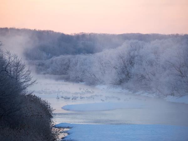 Japan winter highlights tour, Sapporo snow festival