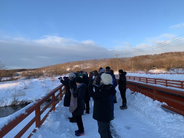 Japan winter highlights tour, Sapporo snow festival