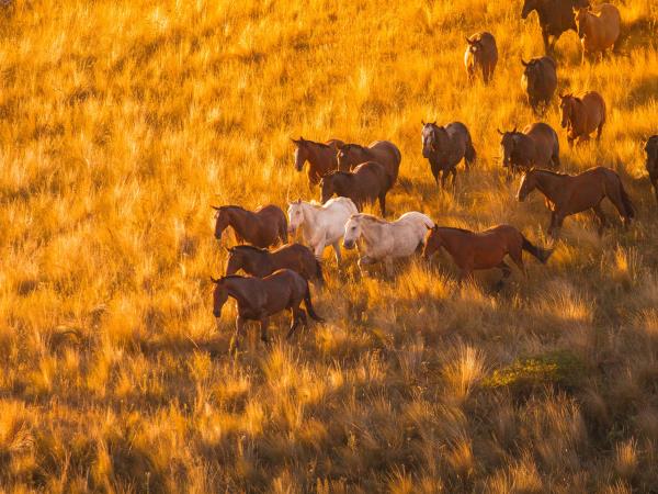 Luxury Argentina holiday, tailormade | Responsible Travel