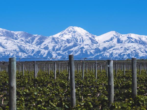 Luxury Argentina holiday, tailormade