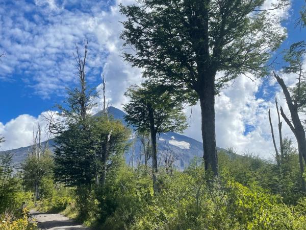 Argentine Patagonia hiking and nature holiday