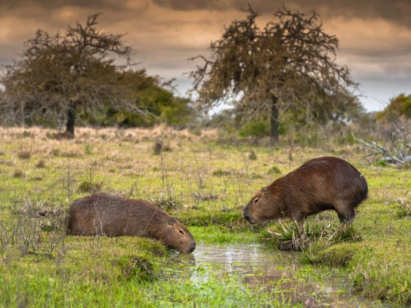 Northern Argentina slow travel holiday