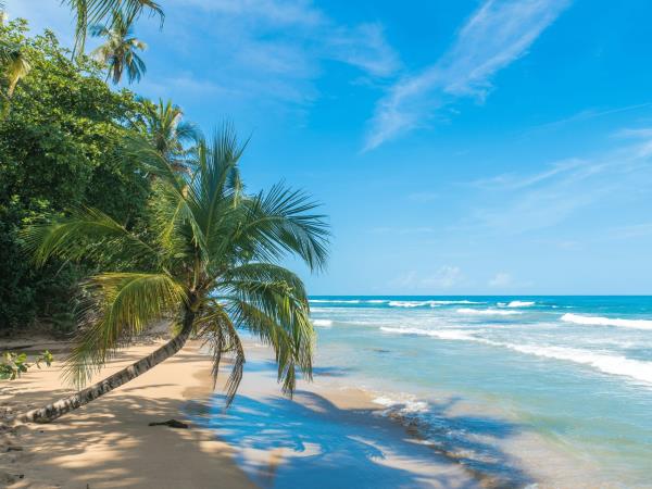 Costa Rica on a shoestring, self drive holiday