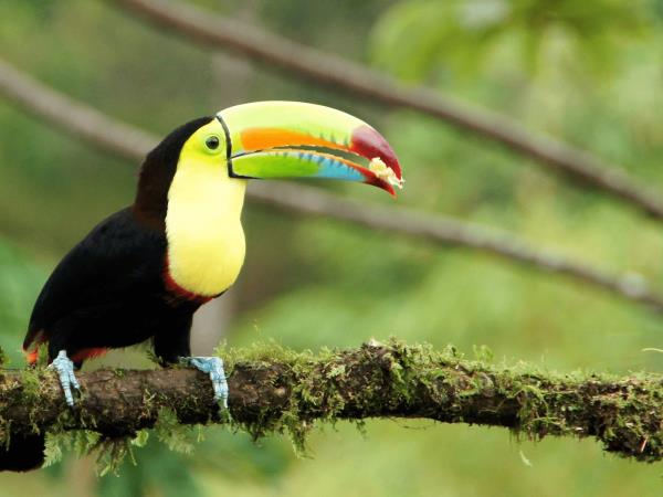 Costa Rica on a shoestring, self drive holiday