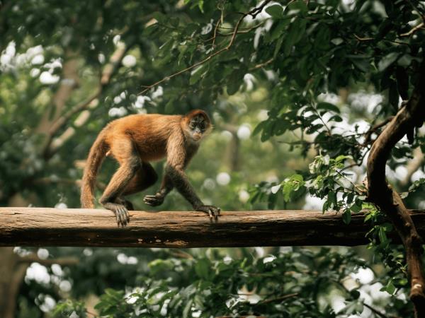 Costa Rica on a shoestring, self drive holiday