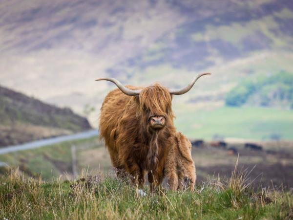 Scottish Highlands holiday for visually impaired travellers
