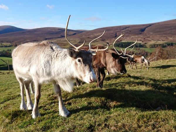 Scottish Highlands holiday for visually impaired travellers