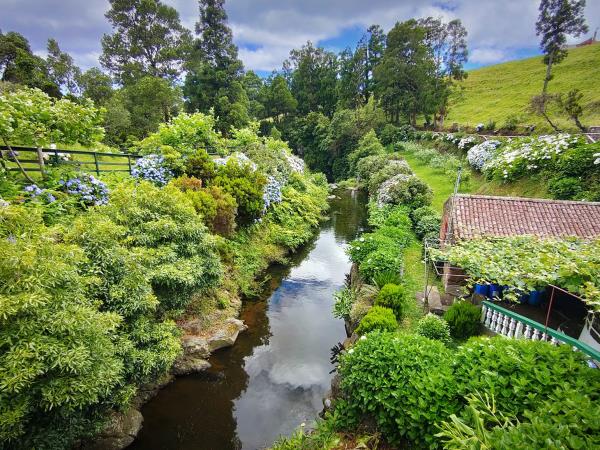 Azores sailing holiday, Central Islands
