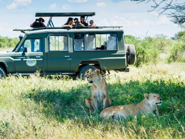 Tanzania northern circuit safari holiday