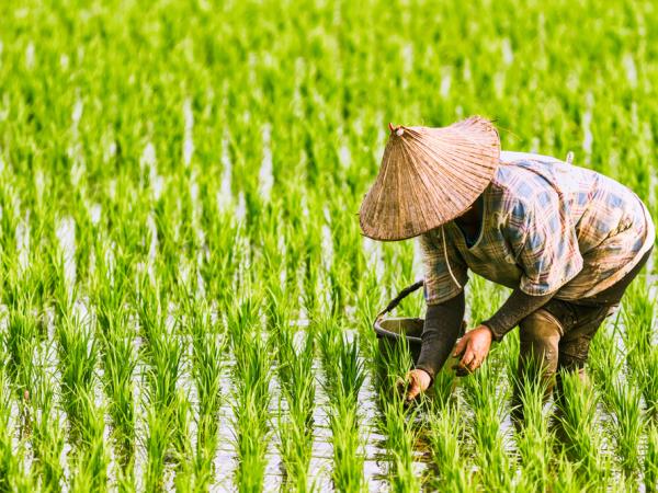 Vietnam holiday for visually impaired travellers
