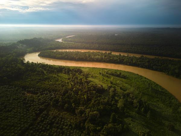 Borneo wildlife photography tour