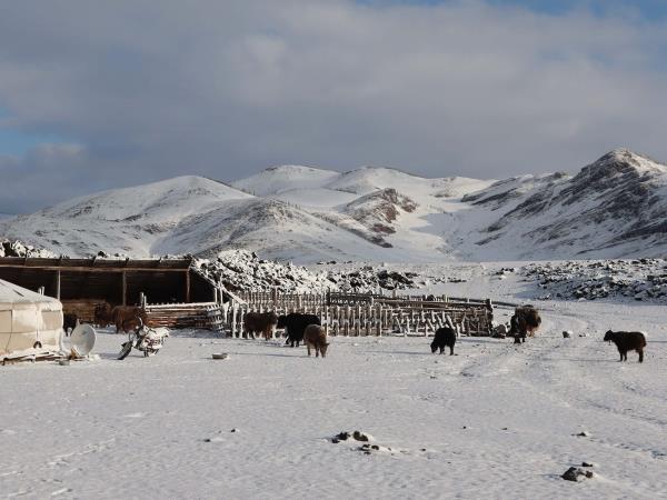 Mongolia adventure holiday, off the beaten track