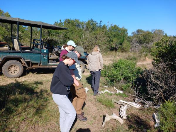 Wilderness conservation holiday, South Africa