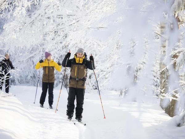 Ski adventure holiday in Finland
