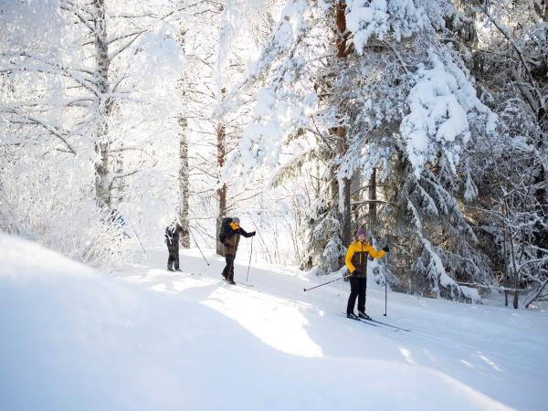 Ski adventure holiday in Finland