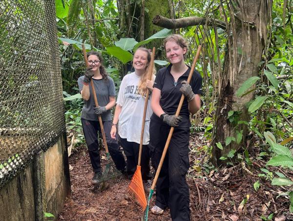 Wildlife rescue volunteering in Costa Rica