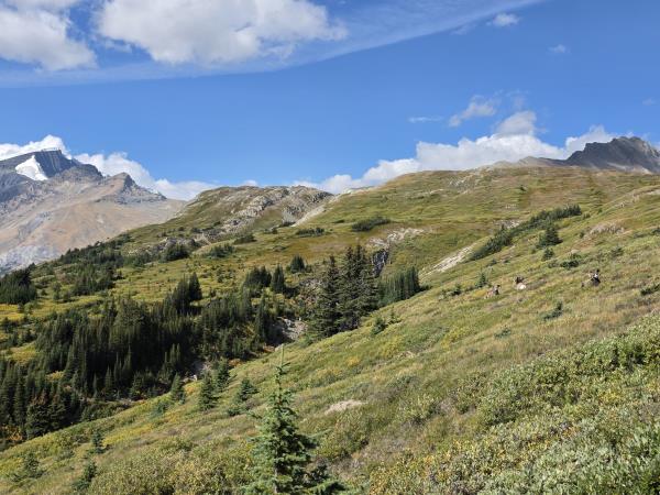 Canadian Rockies walking holiday in Canada
