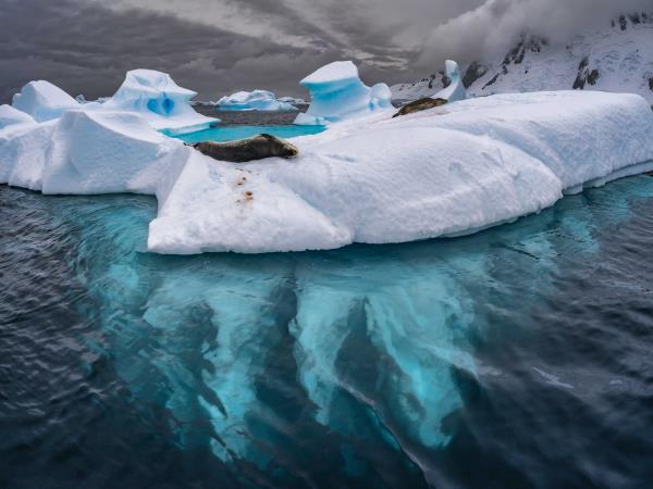 Luxury Chile & Antarctic cruise holiday