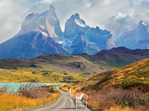 Luxury Chile & Antarctic cruise holiday