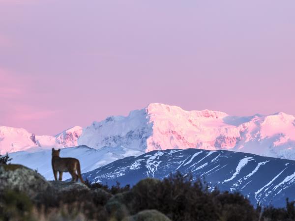 Luxury Chile & Antarctic cruise holiday