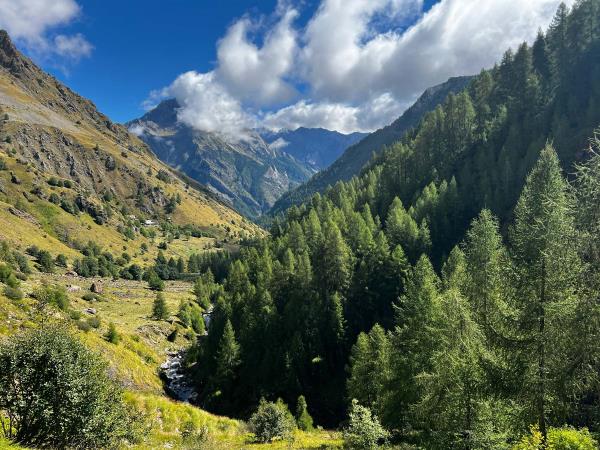 Gourmet alpine walking holiday, France