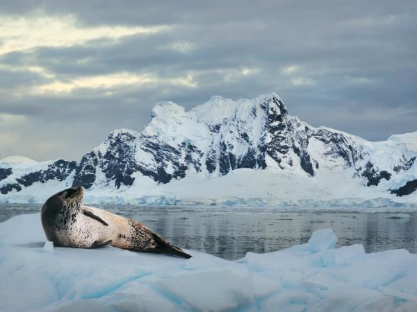 Patagonia and Antarctica holiday