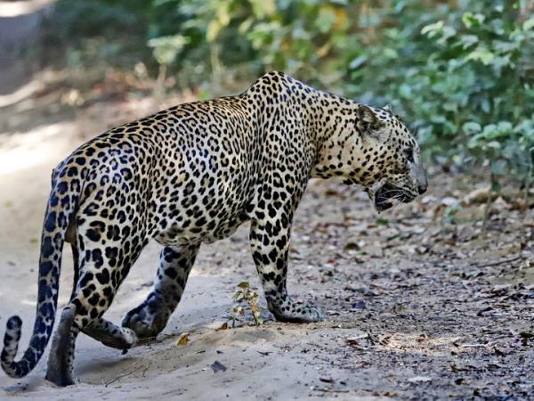 Sri Lanka Family Holidays