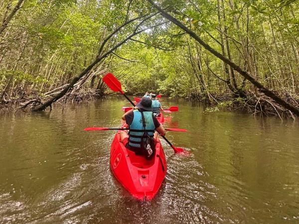 Family holiday to Thailand, jungles and islands