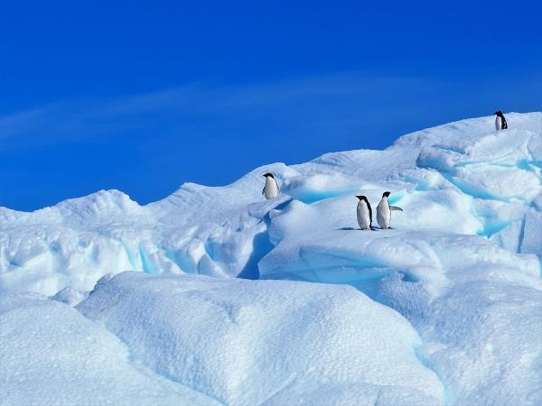 Argentina & Antarctica 1 month holiday
