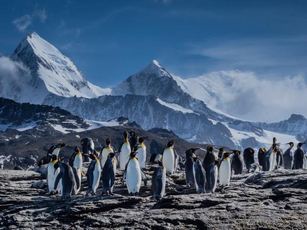 Argentina & Antarctica 1 month holiday